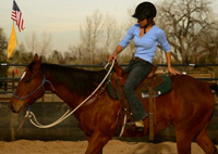 To check if you are riding with a deep and balanced seat reach back and rest your palm flat against your horse's rump. If your body is in correct alignment and your pelvis is relaxed you should be able to accomplish this easily.